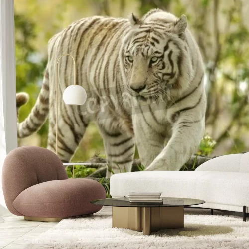 Fotobehang Witte tijger op de achtergrond van groen