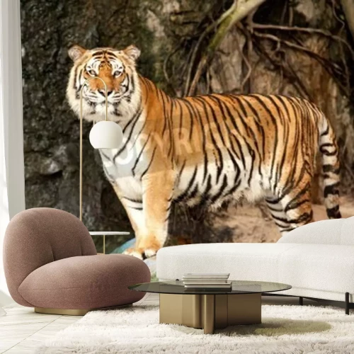Fotobehang Beeld van tijger op een steen