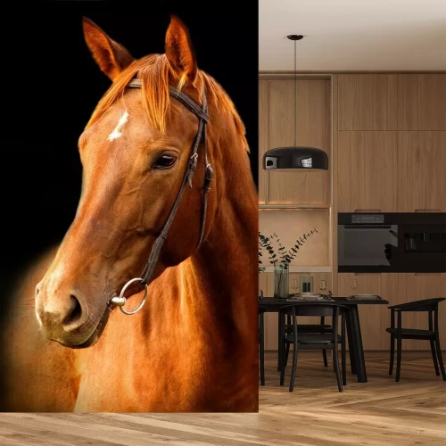 Fotobehang Bruin paard op een zwarte achtergrond