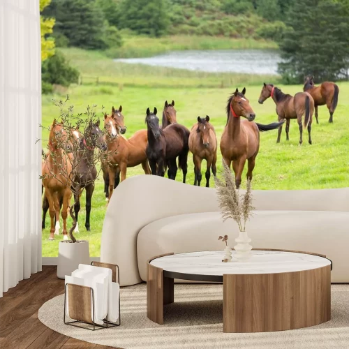 Sticker Silhouetten van bruine paarden op een groene open plek