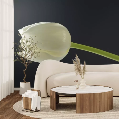 Sticker Tulp op grijze achtergrond