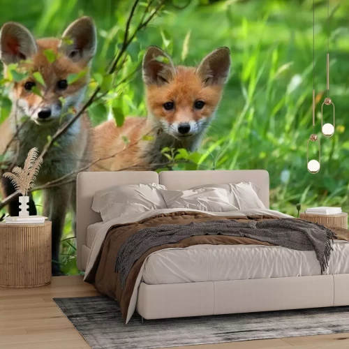 Fotobehang Vossen op de vlucht