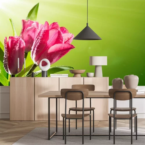 Sticker Roze tulpen in de stralen van de zon