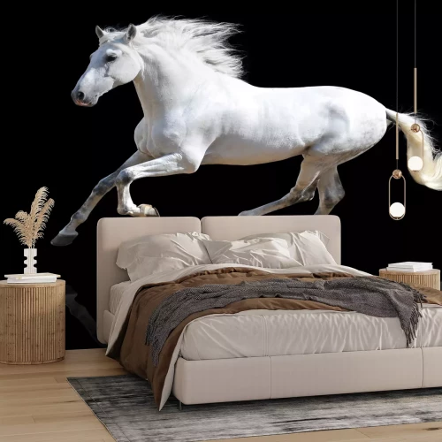 Fotobehang Lopend wit paard