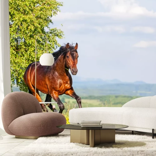 Fotobehang Zomerpanorama met een rennend paard