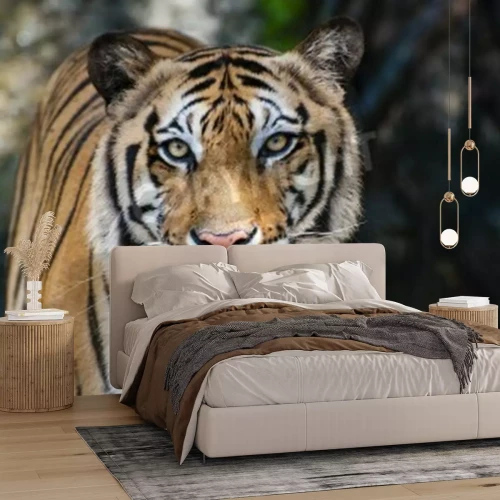 Fotobehang Portret van tijger in bos