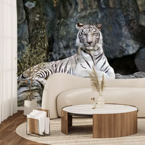 Fotobehang Jonge tijger rustend op een rots