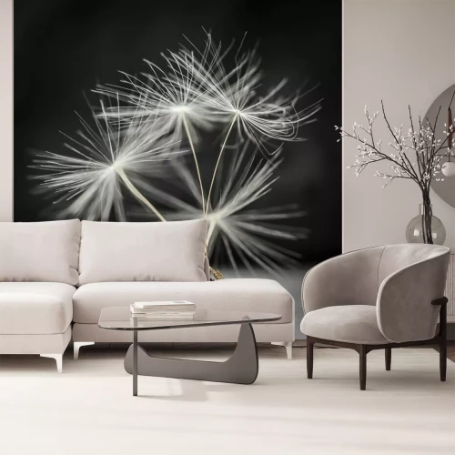 Fotobehang Paardenbloem zaden macro