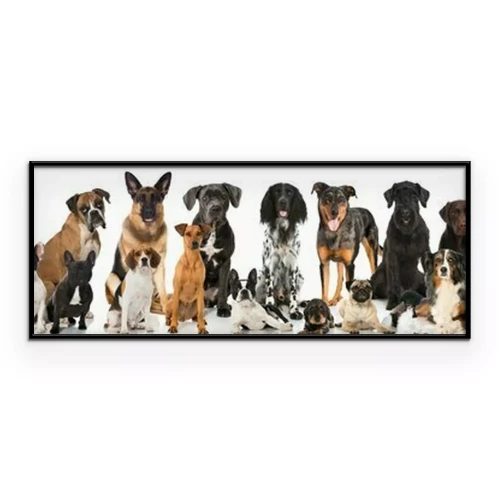 Poster Raszuivere honden op een lichte achtergrond