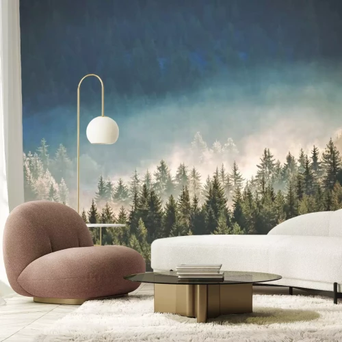 Fotobehang Naaldbos in de mist