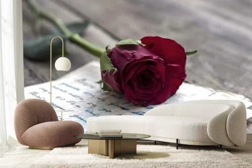 Visualisatie van het product