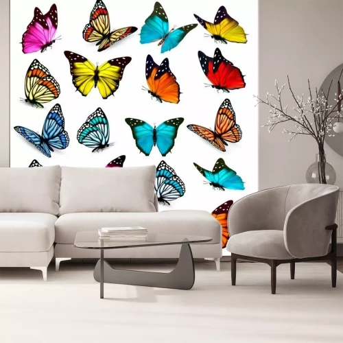 Sticker Verschillende soorten kleurrijke vlinders