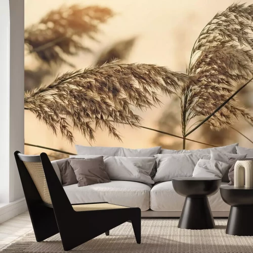 Fotobehang Natuurlijk thema in close-up