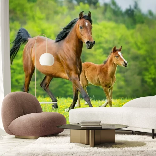 Fotobehang Veulen en merrie tussen de bloemen