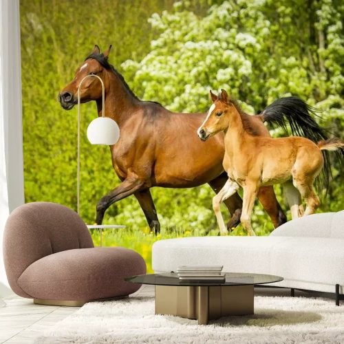 Fotobehang Het paard en veulen op het gras