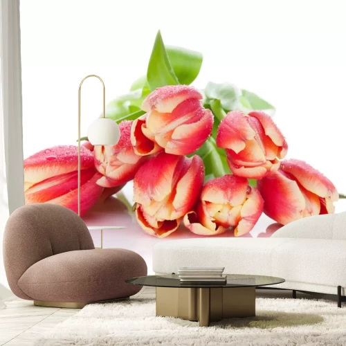 Sticker Tulpenhoofdjes van boven gezien