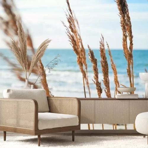 Fotobehang Planten op de zeeduinen