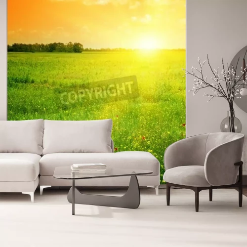 Fotobehang Oranje zonsopgang boven een veld