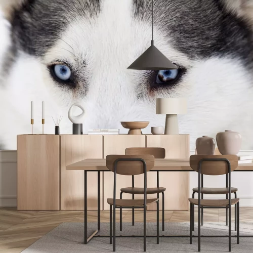 Sticker Wolf ogen in close-up