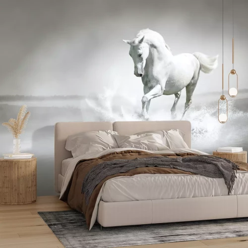 Fotobehang Wit paard in het water