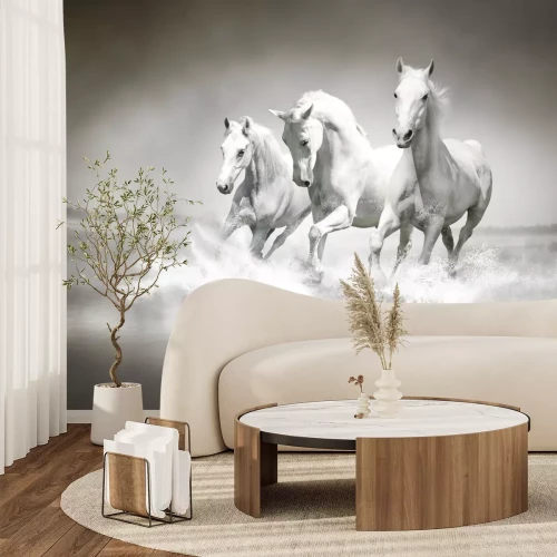 Fotobehang Drie paarden in het water