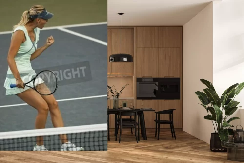 Visualisatie van het product