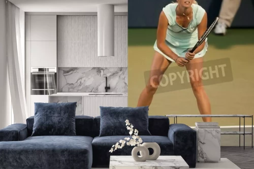 Visualisatie van het product