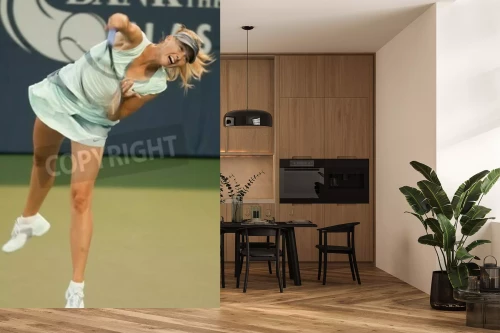 Visualisatie van het product