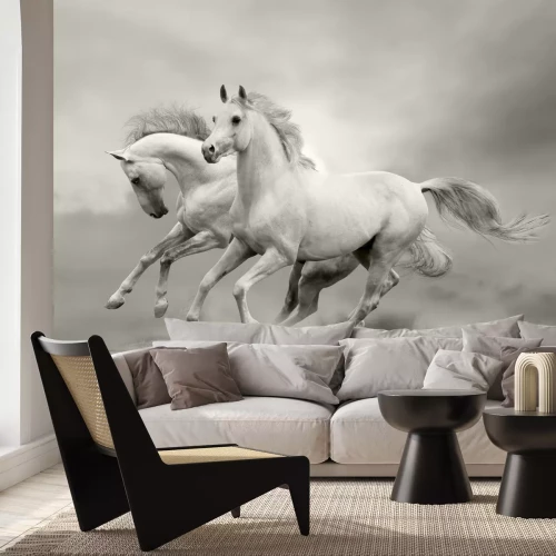 Fotobehang Paarden in de zomer