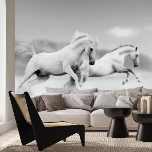 Fotobehang Rennende paarden in zwart-wit