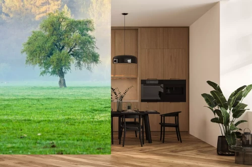 Visualisatie van het product