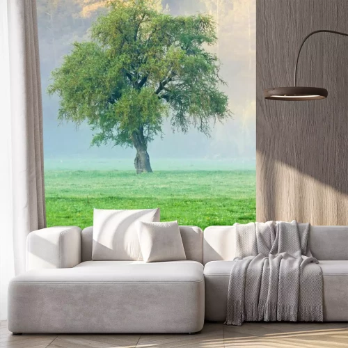 Fotobehang Gras boom en mist