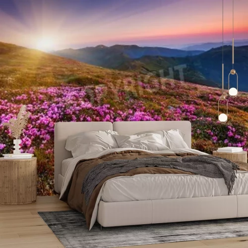 Fotobehang Rhododendron en zonsopgang