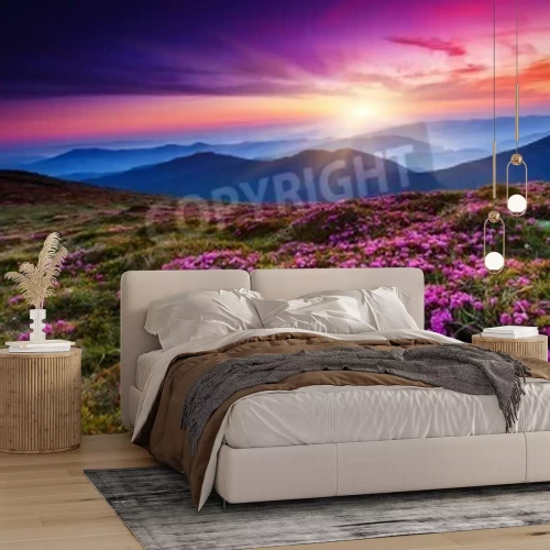 Fotobehang Paarse bloemen en zonsopgang