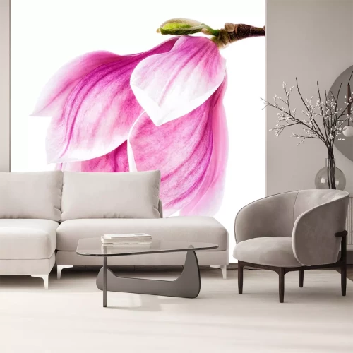 Sticker Waterverf roze magnolia