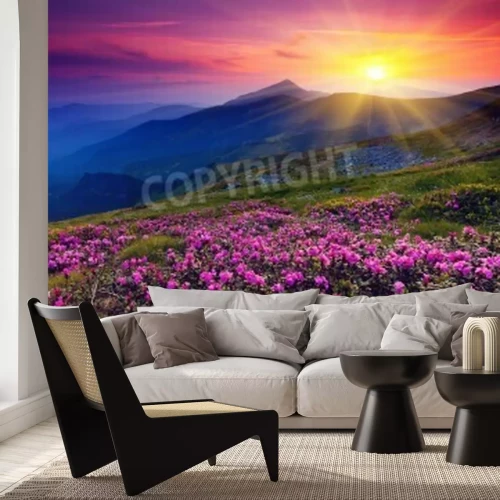 Fotobehang Roze bergbloemen en zonsopgang