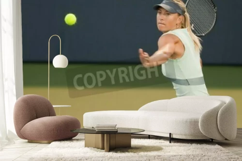 Visualisatie van het product