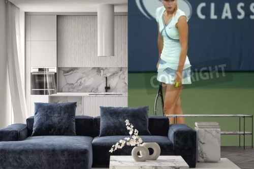 Visualisatie van het product