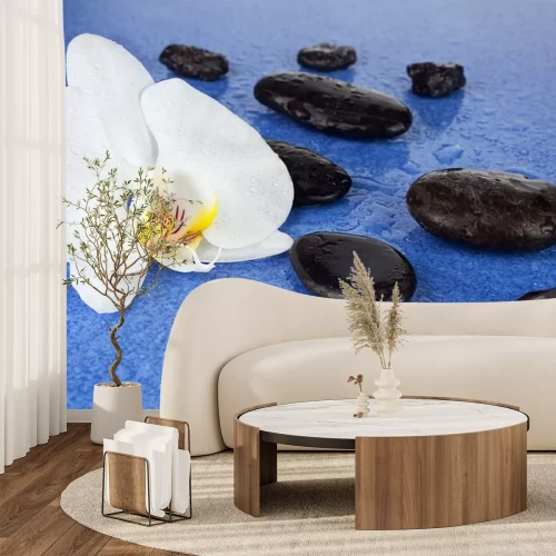 Sticker Black spa stenen en witte orchidee bloemen op blauwe achtergrond.