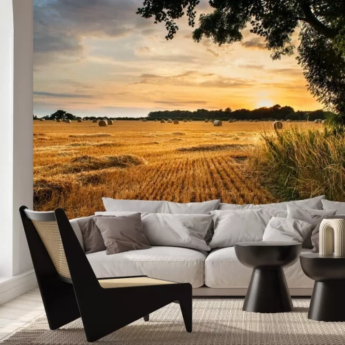 Fotobehang Landschap van een veld bij zonsondergang