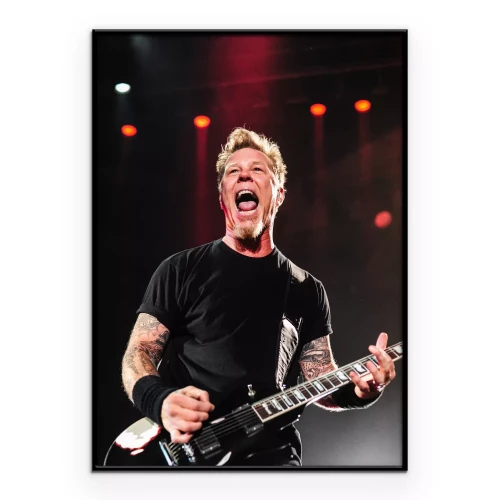 Poster James Hetfield tijdens een concert
