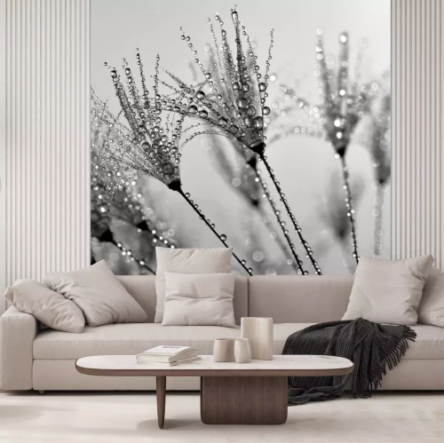 Fotobehang Paardenbloemen in het water