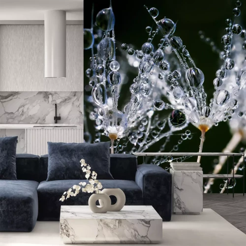 Fotobehang Close-up van paardenbloemen in de regen