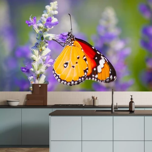 Sticker Oranje vlinder in de wei