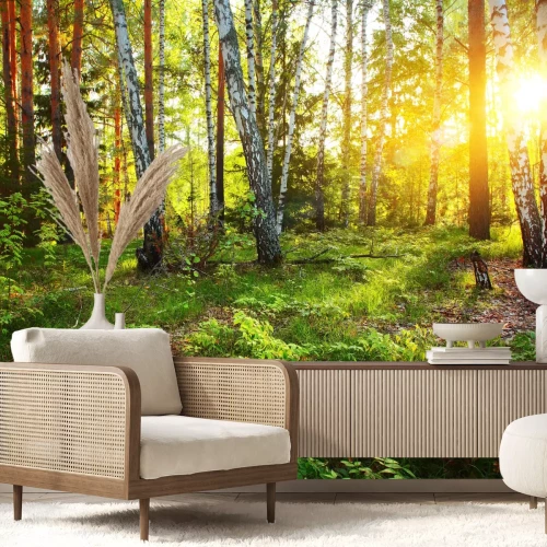 Fotobehang Wilde vegetatie en berken