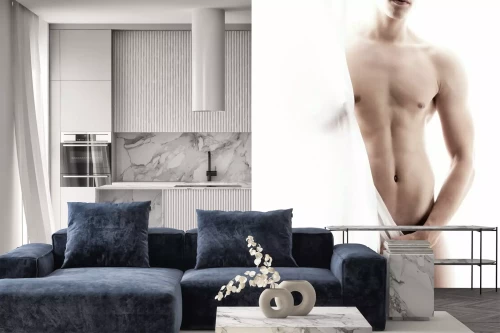 Visualisatie van het product