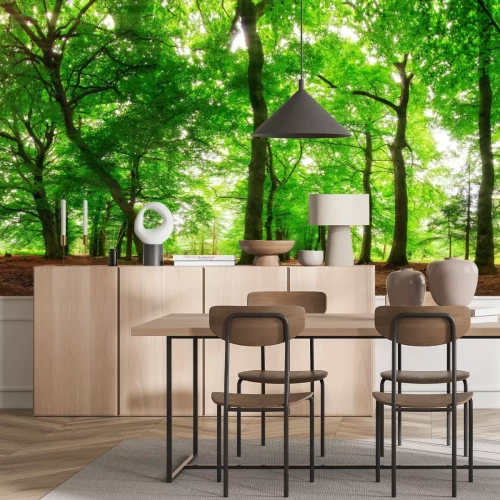 Fotobehang Boslandschap op een zonnige dag