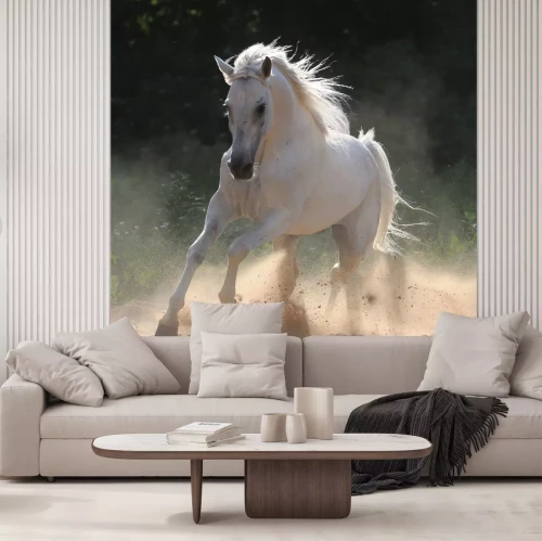 Fotobehang Wit paard in de zon