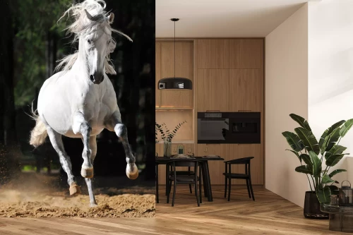 Visualisatie van het product