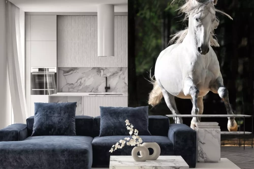 Visualisatie van het product